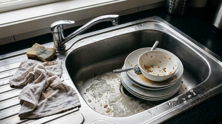 découvrez comment éviter les erreurs courantes qui attirent les mouches dans votre cuisine et transformez-la en un espace propre et agréable.